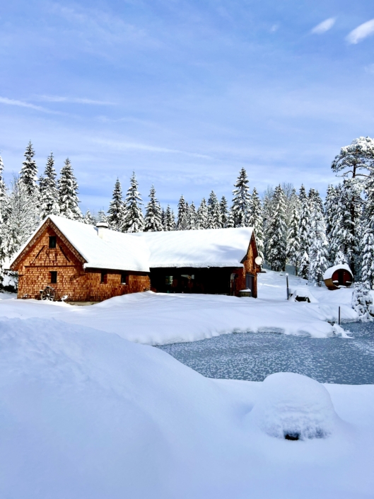 Chalet im Winter